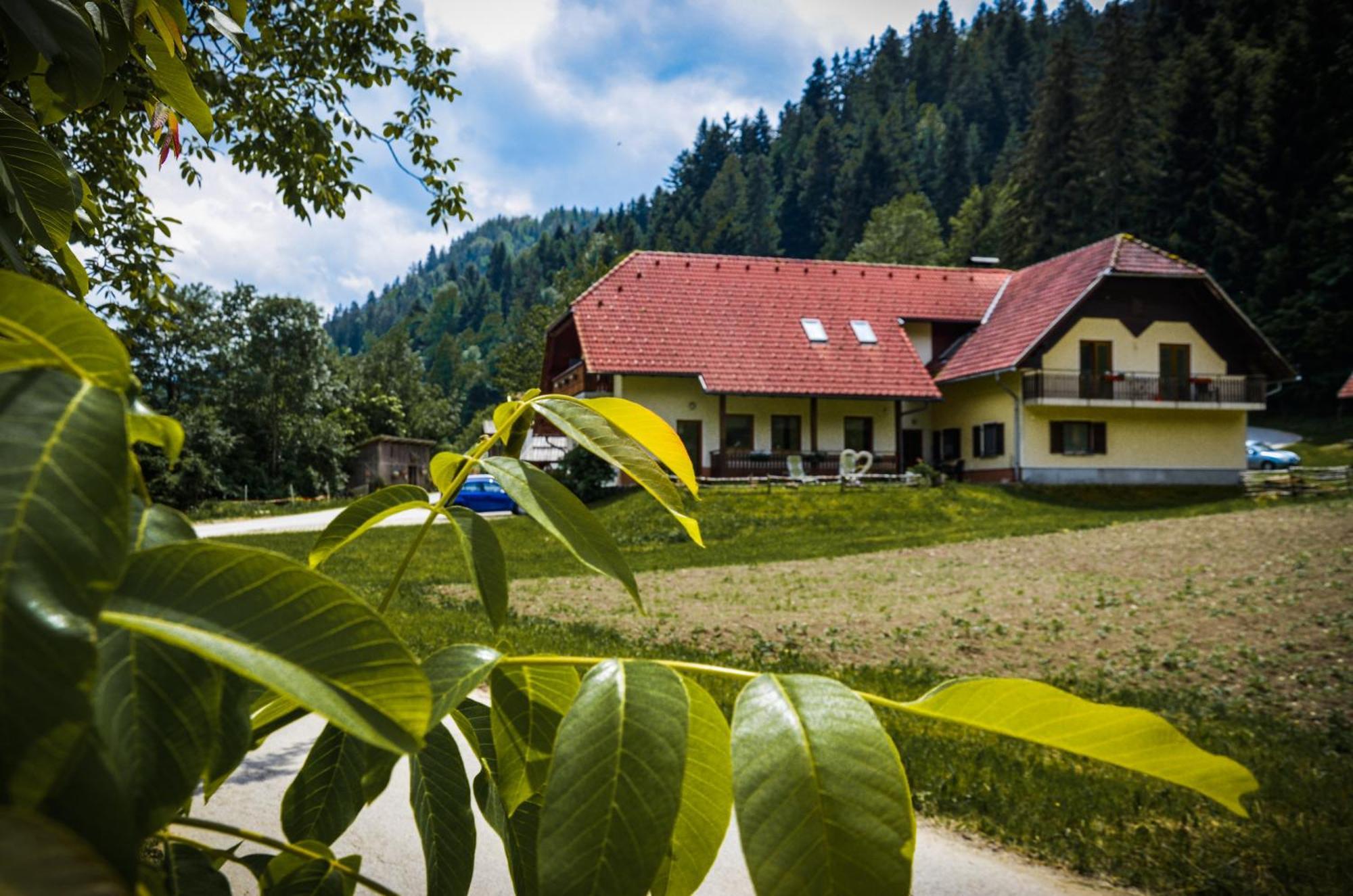 Farm Stay Loger Ljubno Екстер'єр фото